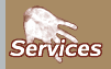 Link to Services