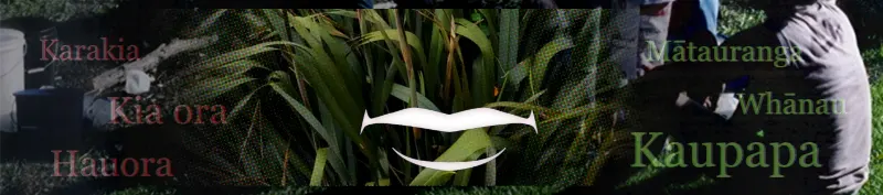 Te Marau Hangarau banner